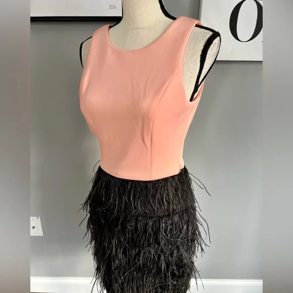 Maia Feathered Dress - Picture 3 of 10